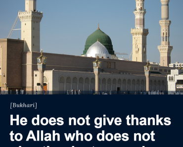 He does not give thanks to Allah